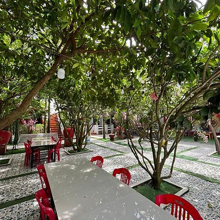 Red House Homestay - Villa Hoi An Eksteriør billede