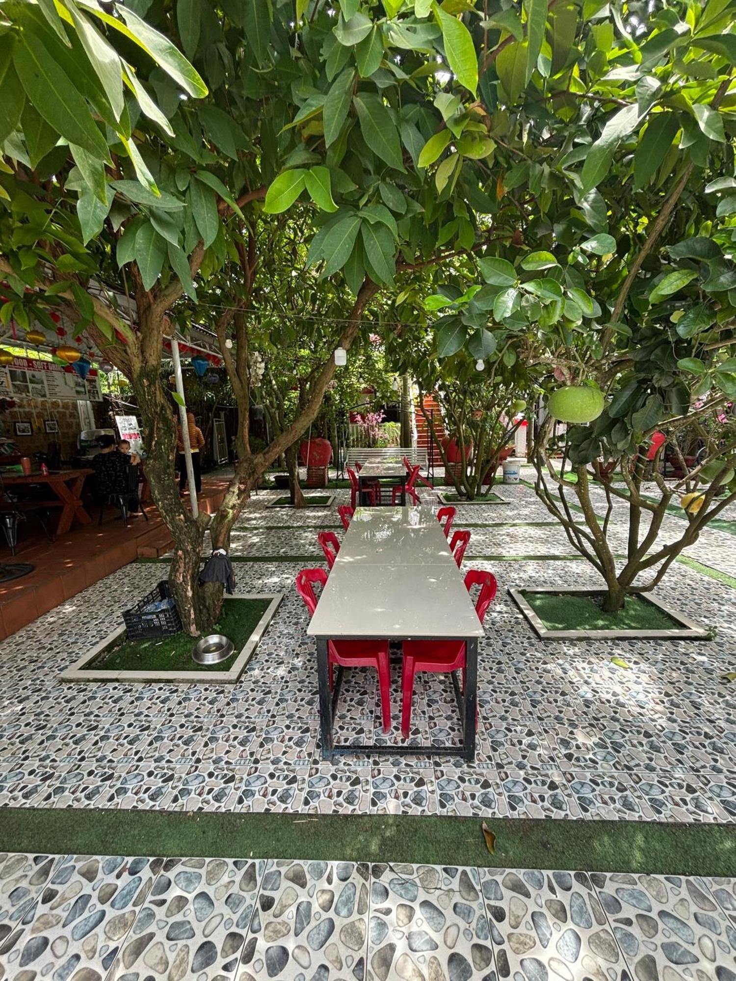 Red House Homestay - Villa Hoi An Eksteriør billede